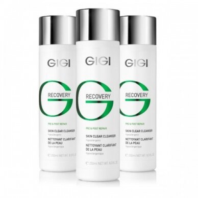 GIGI RECOVERY Skin Clear Cleanser 250 ml GIGI RECOVERY Skin Clear Cleanser 250 ml