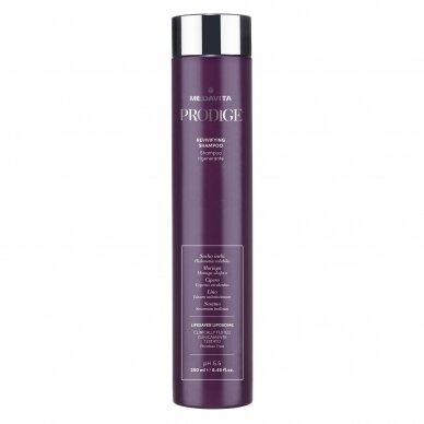 Medavita PRODIGE Revivifying Shampoo 250ml Medavita PRODIGE Revivifying Shampoo 250ml